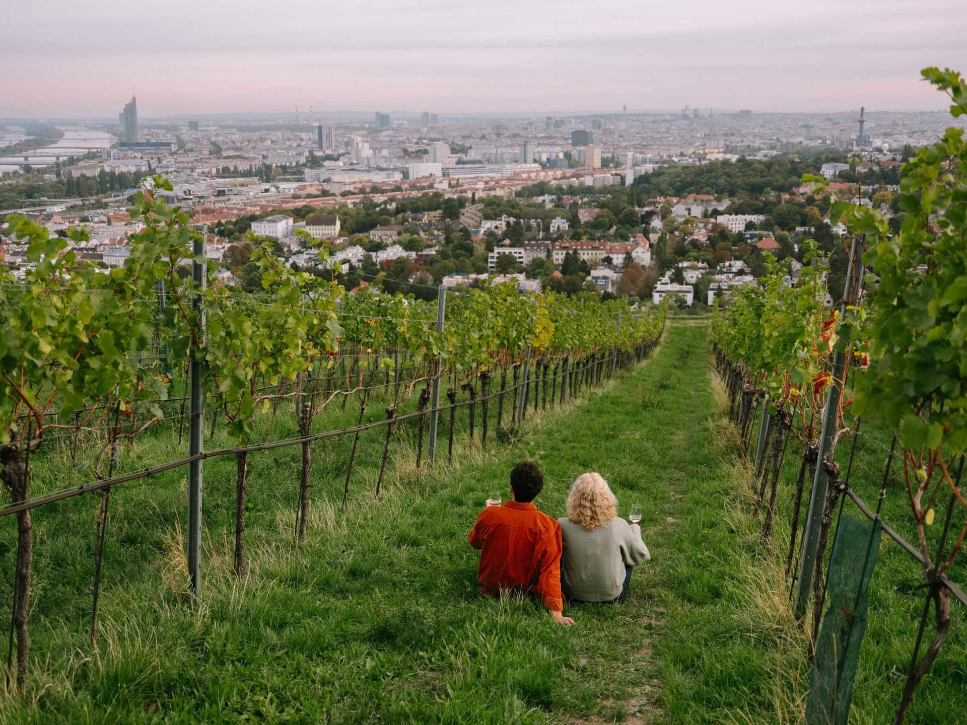 View over Vienna from the Nussberg vineyards